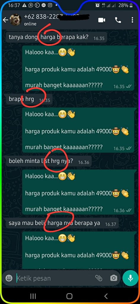 hasil contoh autoresponder whatsapp